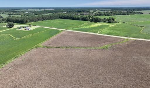 Photo #13 of SOLD property in Off Whaley Road, Kinston, NC 27.4 acres