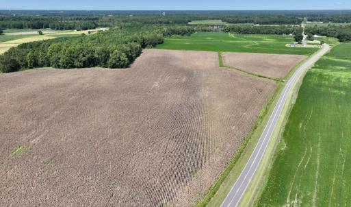 Photo #3 of SOLD property in Off Whaley Road, Kinston, NC 27.4 acres