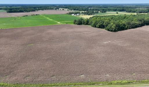 Photo #5 of SOLD property in Off Whaley Road, Kinston, NC 27.4 acres