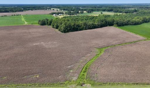 Photo #6 of SOLD property in Off Whaley Road, Kinston, NC 27.4 acres