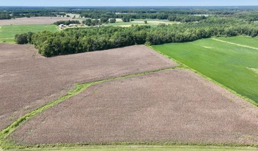 Photo #7 of SOLD property in Off Whaley Road, Kinston, NC 27.4 acres