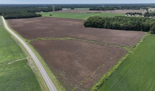 Photo #8 of SOLD property in Off Whaley Road, Kinston, NC 27.4 acres