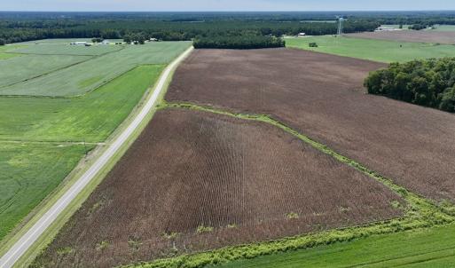 Photo #9 of SOLD property in Off Whaley Road, Kinston, NC 27.4 acres