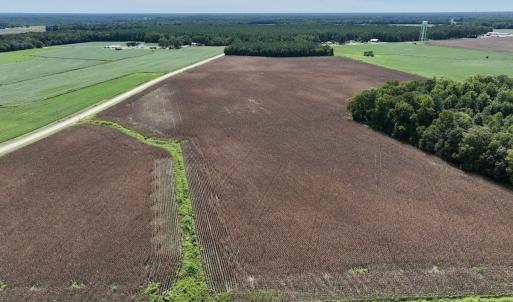 Photo #11 of SOLD property in Off Whaley Road, Kinston, NC 27.4 acres