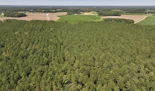 Photo #10 of SOLD property in Off Elijah Loftin Road, Kinston, NC 71.7 acres