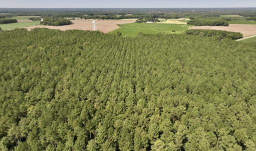 Photo #11 of SOLD property in Off Elijah Loftin Road, Kinston, NC 71.7 acres