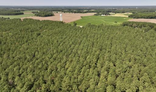 Photo #12 of SOLD property in Off Elijah Loftin Road, Kinston, NC 71.7 acres