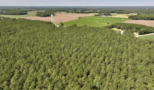 Photo #13 of SOLD property in Off Elijah Loftin Road, Kinston, NC 71.7 acres