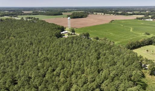 Photo #14 of SOLD property in Off Elijah Loftin Road, Kinston, NC 71.7 acres