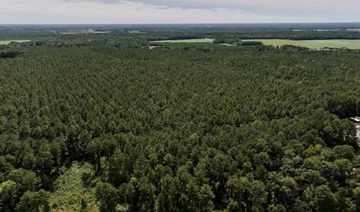 Photo #17 of SOLD property in Off Elijah Loftin Road, Kinston, NC 71.7 acres