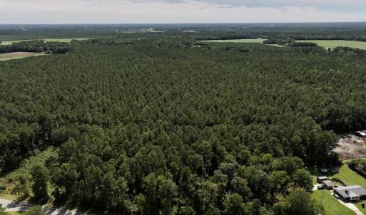 Photo #18 of SOLD property in Off Elijah Loftin Road, Kinston, NC 71.7 acres