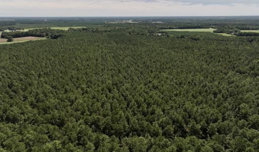 Photo #19 of SOLD property in Off Elijah Loftin Road, Kinston, NC 71.7 acres