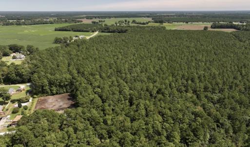 Photo #2 of SOLD property in Off Elijah Loftin Road, Kinston, NC 71.7 acres
