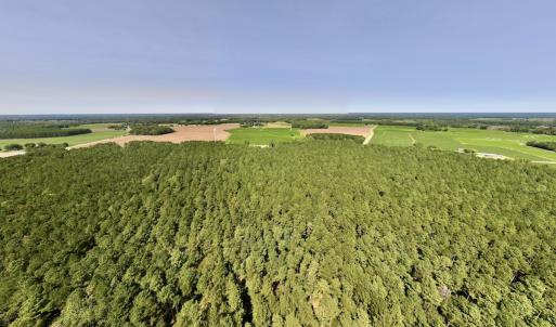 Photo #21 of SOLD property in Off Elijah Loftin Road, Kinston, NC 71.7 acres