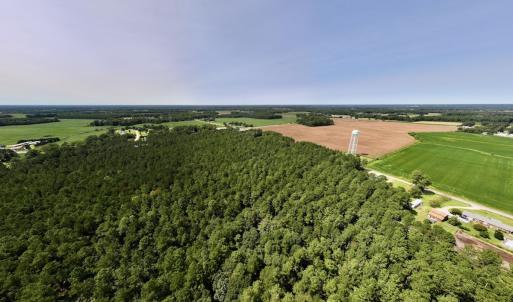 Photo #22 of SOLD property in Off Elijah Loftin Road, Kinston, NC 71.7 acres