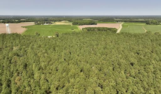 Photo #27 of SOLD property in Off Elijah Loftin Road, Kinston, NC 71.7 acres