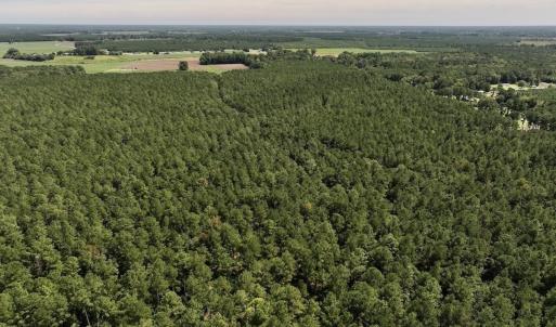 Photo #3 of SOLD property in Off Elijah Loftin Road, Kinston, NC 71.7 acres