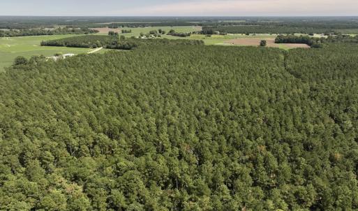 Photo #4 of SOLD property in Off Elijah Loftin Road, Kinston, NC 71.7 acres