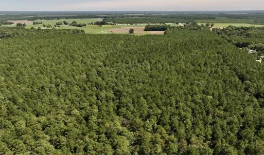 Photo #5 of SOLD property in Off Elijah Loftin Road, Kinston, NC 71.7 acres