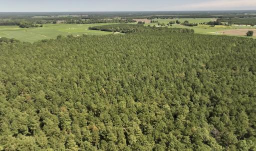 Photo #6 of SOLD property in Off Elijah Loftin Road, Kinston, NC 71.7 acres
