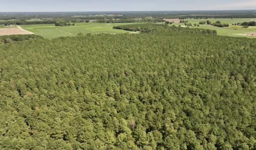 Photo #7 of SOLD property in Off Elijah Loftin Road, Kinston, NC 71.7 acres