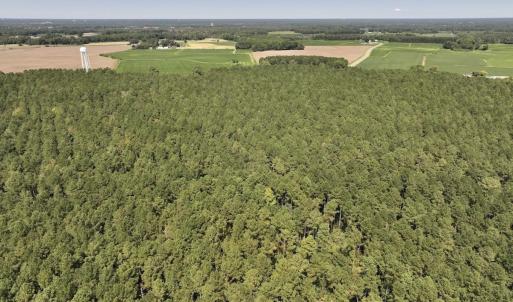 Photo #9 of SOLD property in Off Elijah Loftin Road, Kinston, NC 71.7 acres