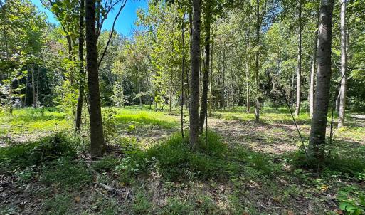 Photo #5 of SOLD property in Off South Quay Rd, Suffolk, VA 14.0 acres