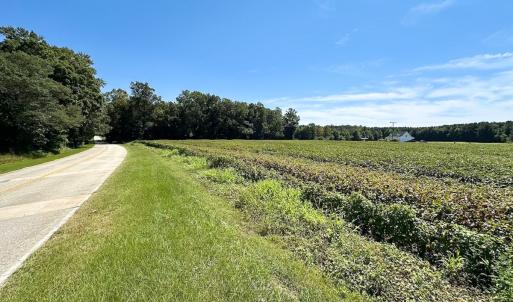 Photo #6 of SOLD property in Off South Quay Rd, Suffolk, VA 14.0 acres