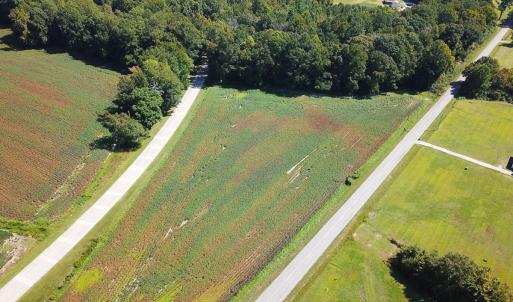 Photo #8 of SOLD property in Off South Quay Rd, Suffolk, VA 14.0 acres