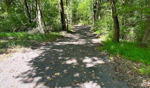 Photo #9 of SOLD property in Off South Quay Rd, Suffolk, VA 14.0 acres