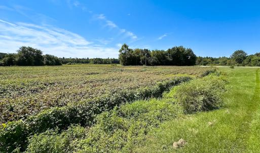 Photo #10 of SOLD property in Off South Quay Rd, Suffolk, VA 14.0 acres