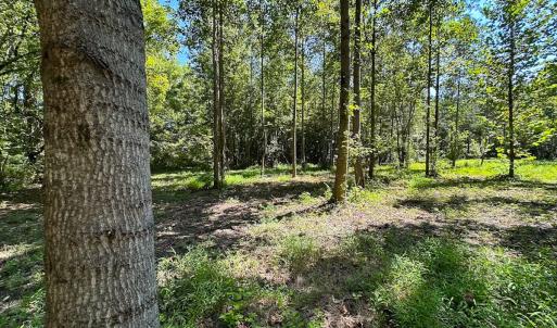 Photo #12 of SOLD property in Off South Quay Rd, Suffolk, VA 14.0 acres