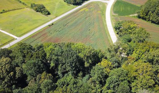 Photo #14 of SOLD property in Off South Quay Rd, Suffolk, VA 14.0 acres