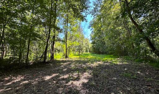 Photo #15 of SOLD property in Off South Quay Rd, Suffolk, VA 14.0 acres
