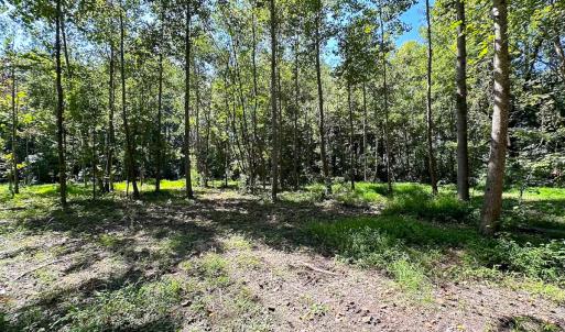 Photo #17 of SOLD property in Off South Quay Rd, Suffolk, VA 14.0 acres