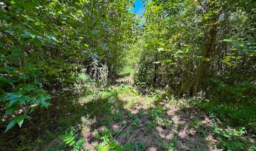 Photo #19 of SOLD property in Off South Quay Rd, Suffolk, VA 14.0 acres