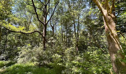 Photo #21 of SOLD property in Off South Quay Rd, Suffolk, VA 14.0 acres