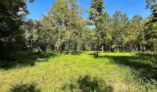 Photo #22 of SOLD property in Off South Quay Rd, Suffolk, VA 14.0 acres