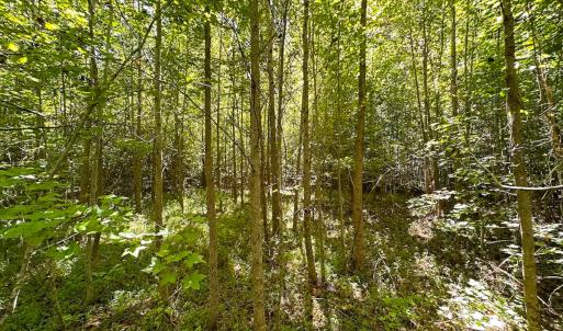 Photo #23 of SOLD property in Off South Quay Rd, Suffolk, VA 14.0 acres