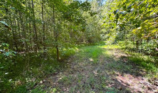 Photo #24 of SOLD property in Off South Quay Rd, Suffolk, VA 14.0 acres