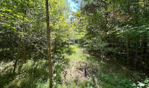 Photo #27 of SOLD property in Off South Quay Rd, Suffolk, VA 14.0 acres