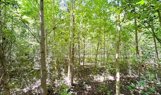 Photo #28 of SOLD property in Off South Quay Rd, Suffolk, VA 14.0 acres