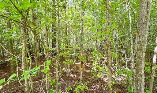 Photo #30 of SOLD property in Off South Quay Rd, Suffolk, VA 14.0 acres