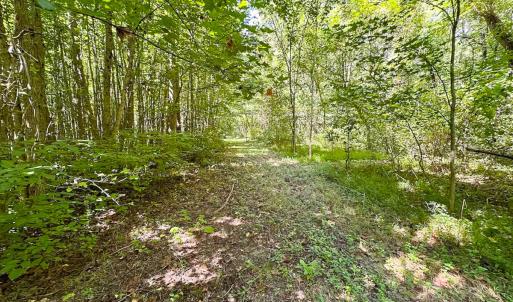Photo #31 of SOLD property in Off South Quay Rd, Suffolk, VA 14.0 acres