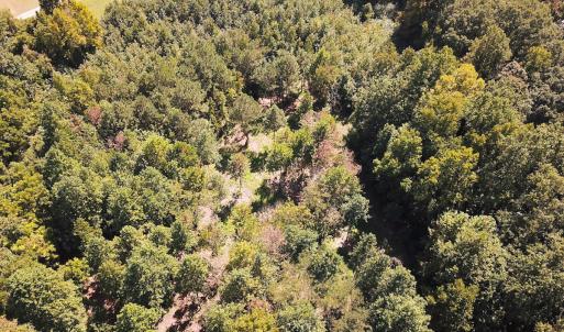 Photo #32 of SOLD property in Off South Quay Rd, Suffolk, VA 14.0 acres