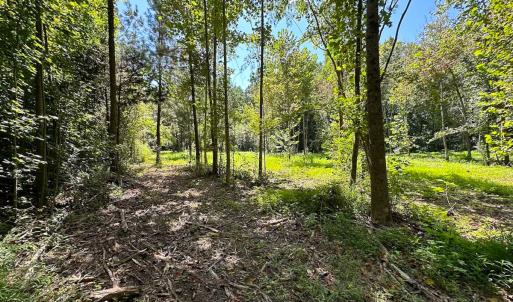 Photo #34 of SOLD property in Off South Quay Rd, Suffolk, VA 14.0 acres