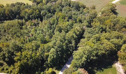 Photo #35 of SOLD property in Off South Quay Rd, Suffolk, VA 14.0 acres