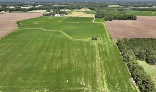 Photo #11 of SOLD property in 1395 Hwy 58 South - Tract #1, Kinston, NC 171.8 acres