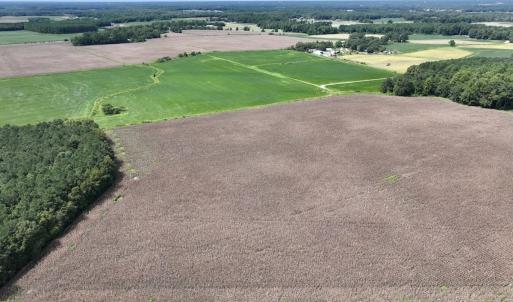 Photo #12 of SOLD property in 1395 Hwy 58 South - Tract #1, Kinston, NC 171.8 acres