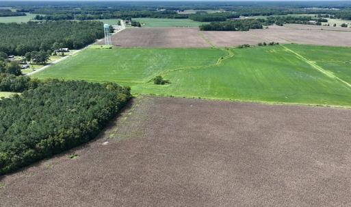 Photo #13 of SOLD property in 1395 Hwy 58 South - Tract #1, Kinston, NC 171.8 acres
